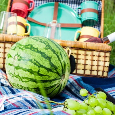 Don’t Let Anything Spoil Your Summer Picnic